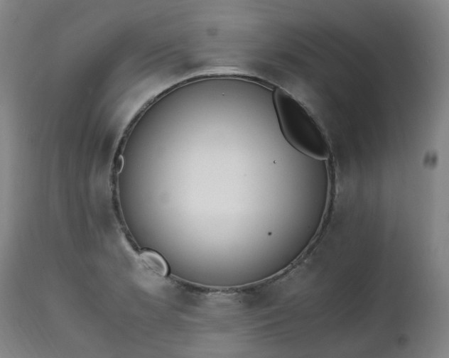 X0000111451181200907201041