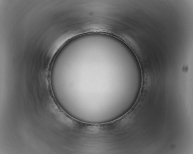 X0000111451182200907201041