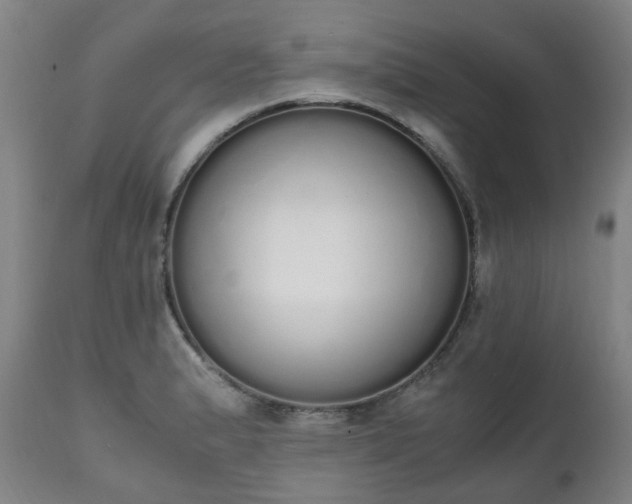 X0000111451183200907201041
