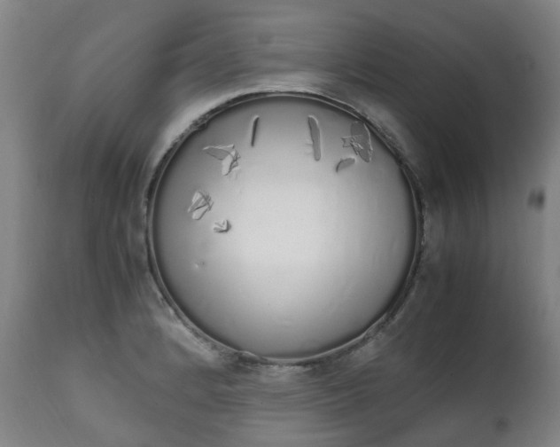 X0000111451184200907201041