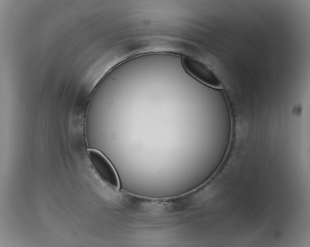 X0000111451185200907201041