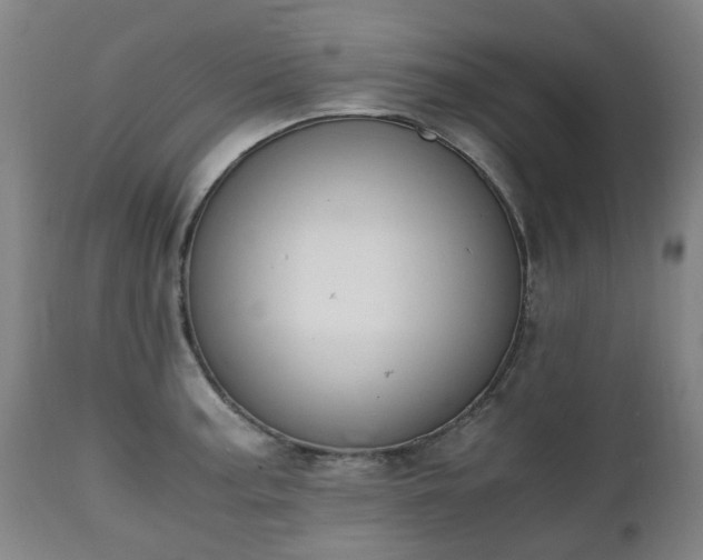 X0000111451187200907201041