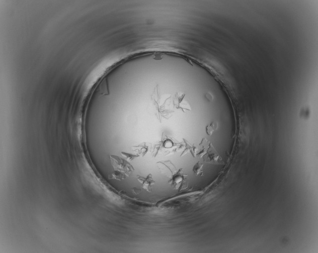 X0000111451188200907201041