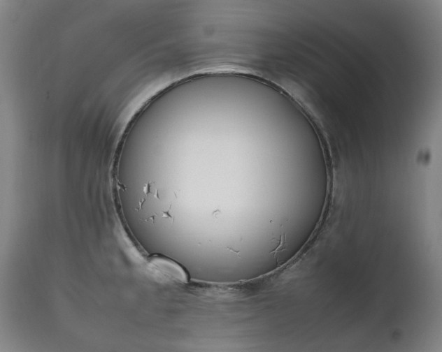 X0000111451189200907201041