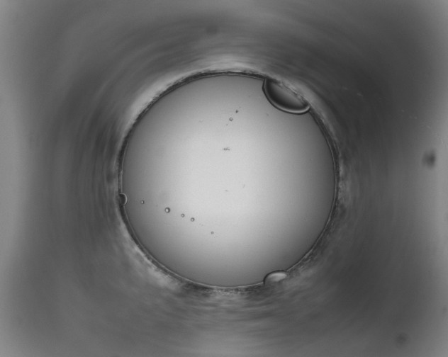 X0000111451191200907201041