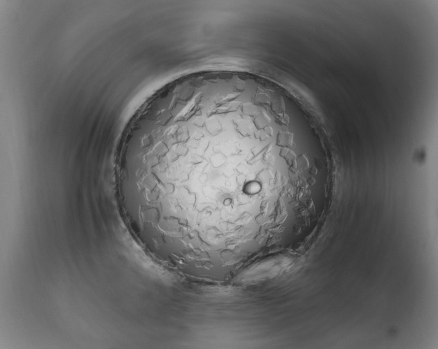 X0000111451192200907201041