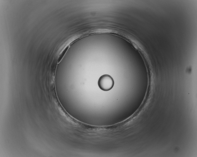 X0000111451193200907201041