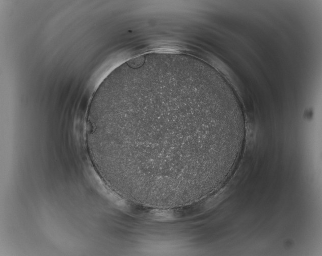 X0000111451194200907201041