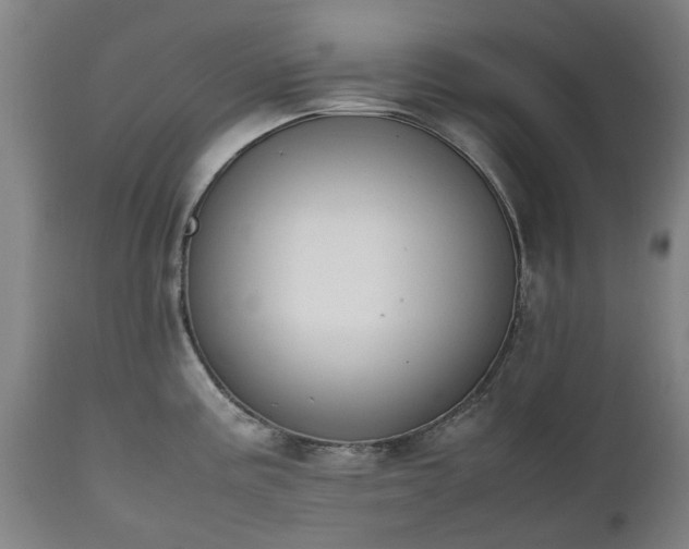 X0000111451195200907201041