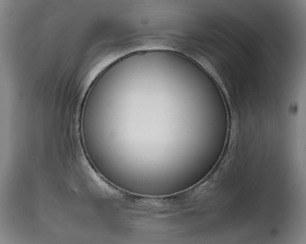 X0000111451197200907201041