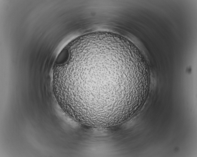 X0000111451198200907201041