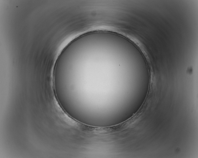 X0000111451199200907201041