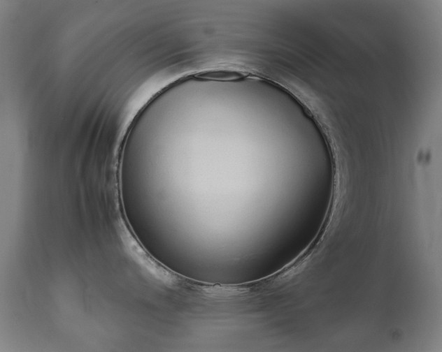 X0000111451200200907201041