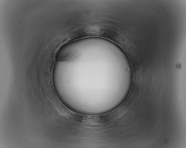 X0000111451201200907201040
