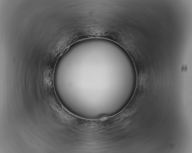 X0000111451202200907201040