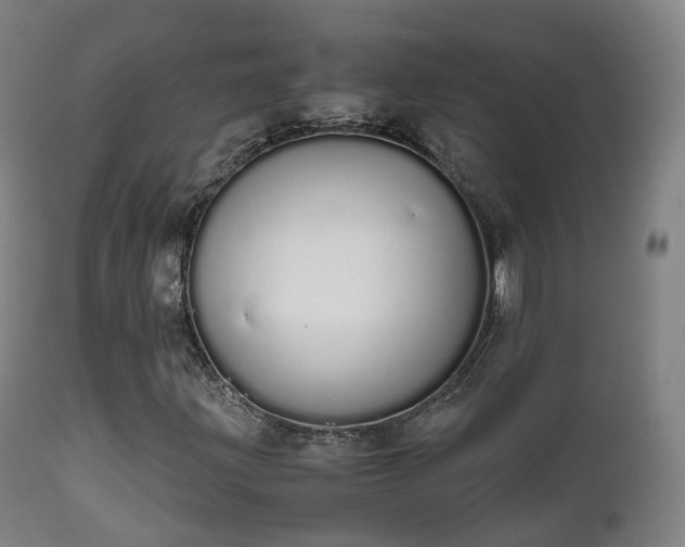 X0000111451203200907201040