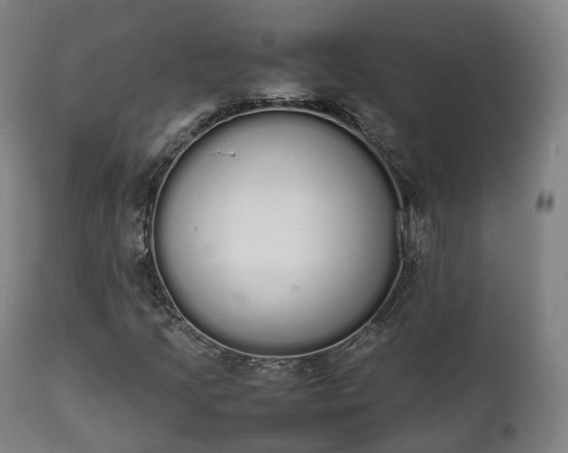 X0000111451205200907201040