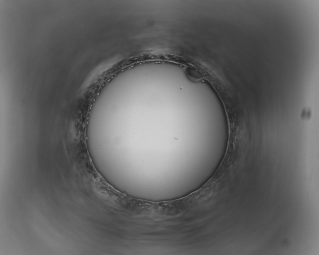 X0000111451207200907201040