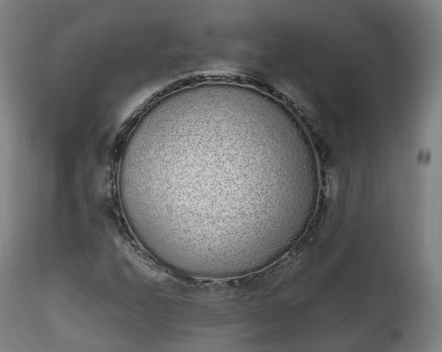 X0000111451208200907201040
