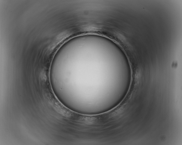 X0000111451209200907201040