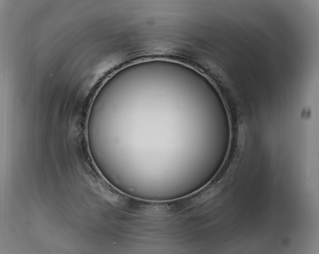 X0000111451210200907201040