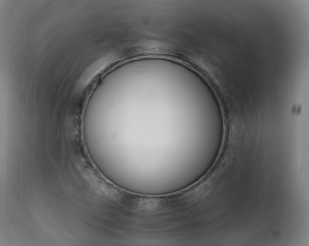 X0000111451211200907201040