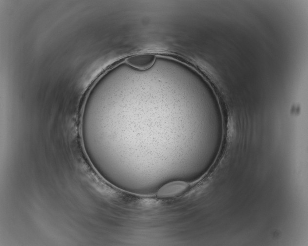 X0000111451212200907201040