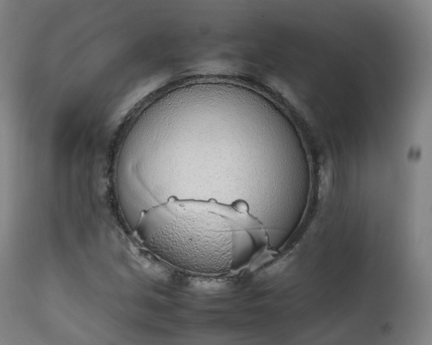 X0000111451213200907201040