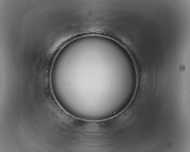 X0000111451214200907201040