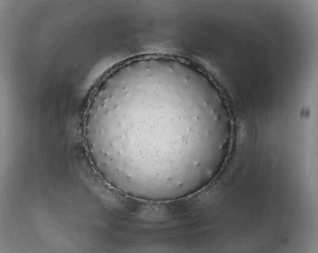 X0000111451215200907201040