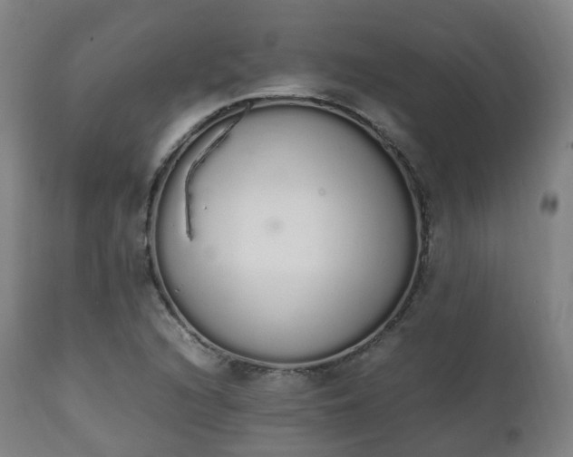 X0000111451216200907201040