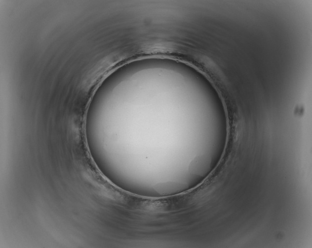 X0000111451217200907201040