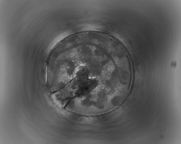 X0000111451219200907201040