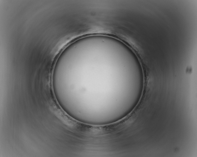 X0000111451220200907201040