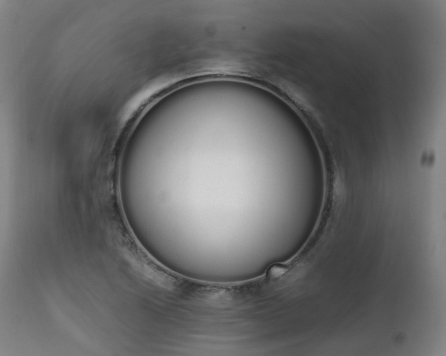 X0000111451222200907201041