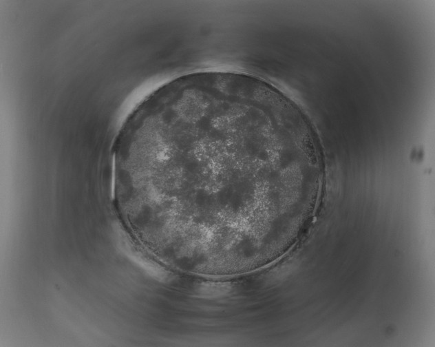 X0000111451223200907201041
