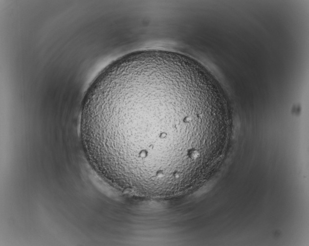 X0000111451224200907201041