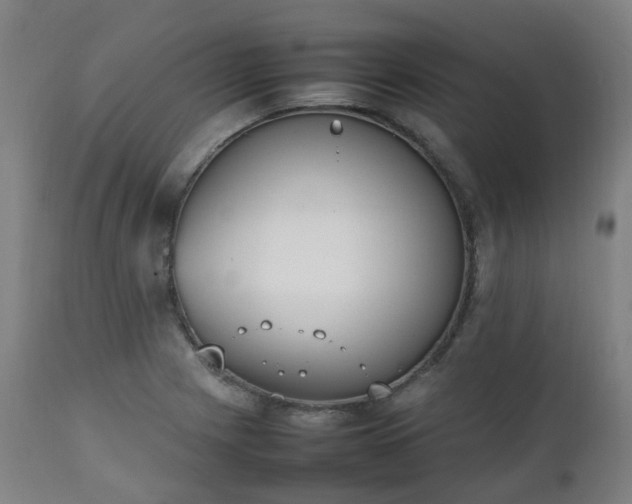 X0000111451225200907201041