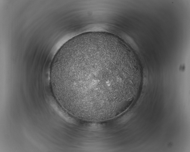 X0000111451226200907201041