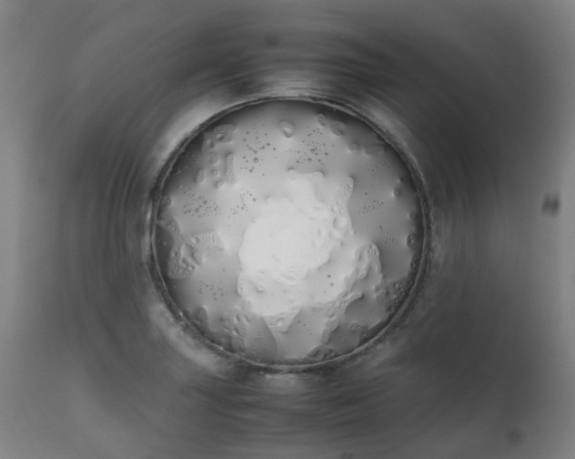 X0000111451227200907201041