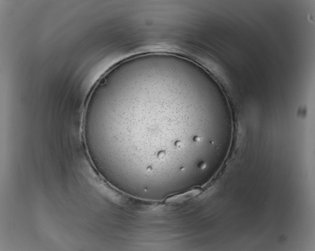 X0000111451228200907201041