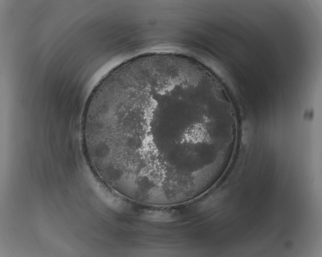 X0000111451229200907201041