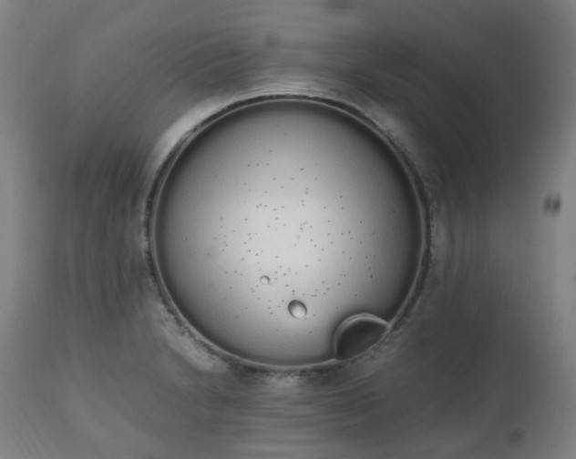 X0000111451230200907201041