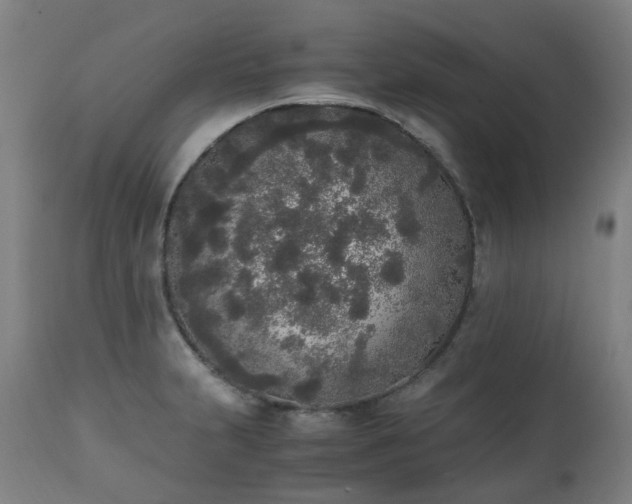 X0000111451231200907201041