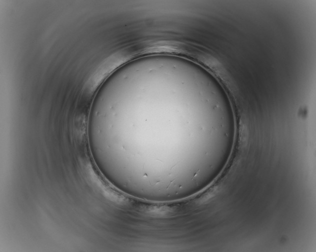 X0000111451233200907201041