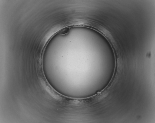 X0000111451234200907201041