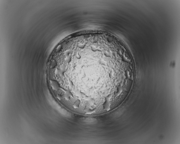 X0000111451235200907201041