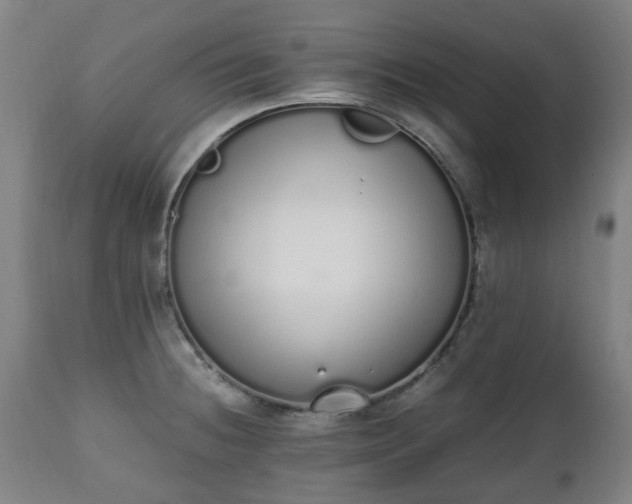 X0000111451236200907201041
