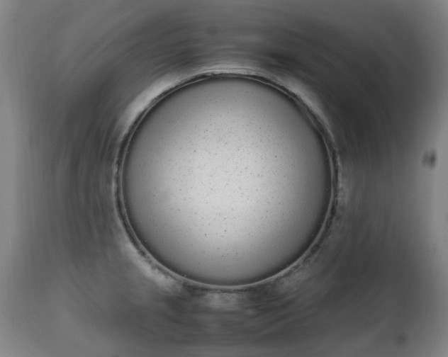 X0000111451237200907201041