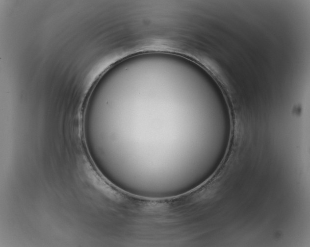 X0000111451238200907201041